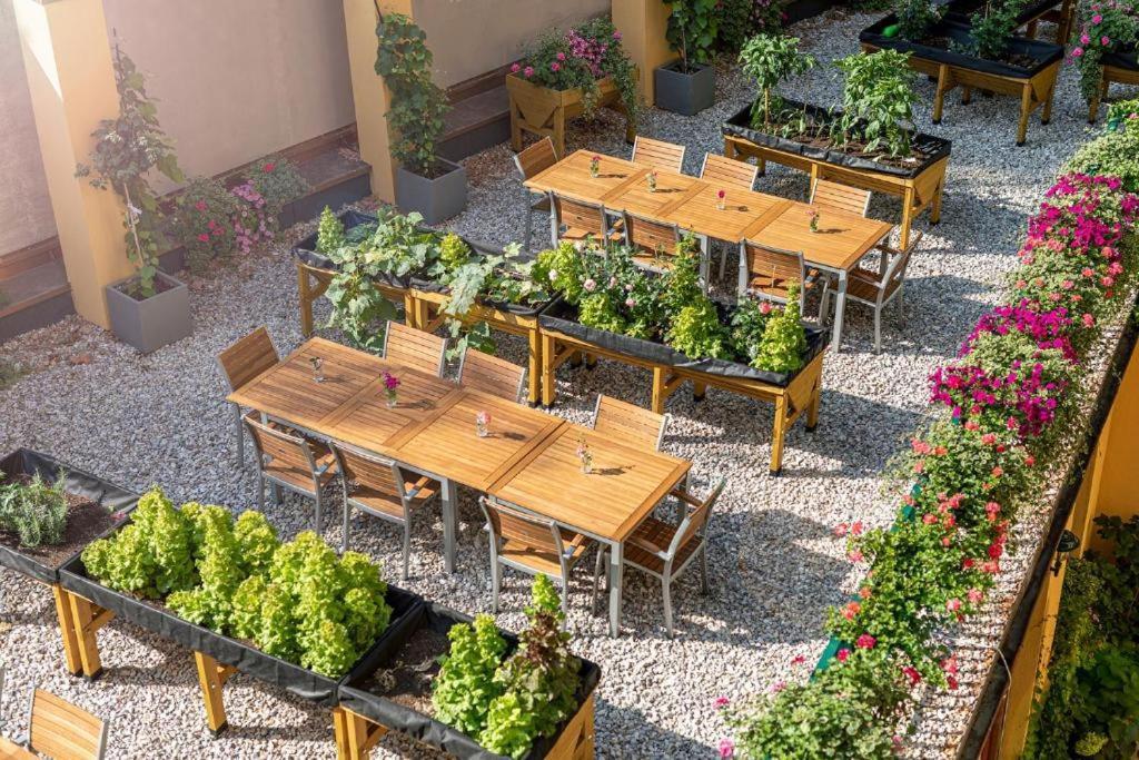Augarten Apartments Viyana Dış mekan fotoğraf